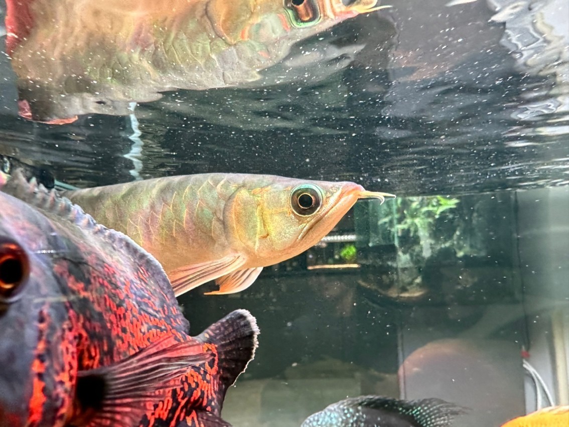 回來第三天