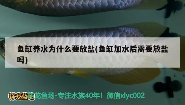 阜新個人二手魚缸交易平臺電話地址是多少的簡單介紹