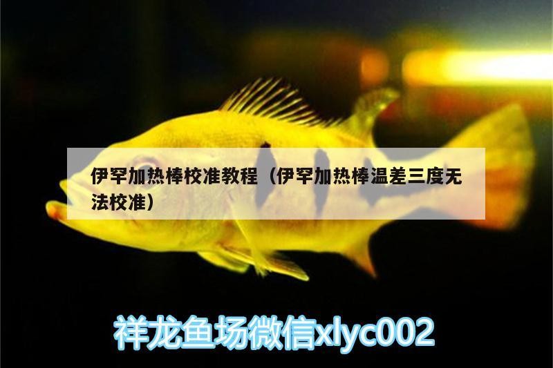 伊罕加熱棒校準(zhǔn)教程（伊罕加熱棒溫差三度無法校準(zhǔn)）