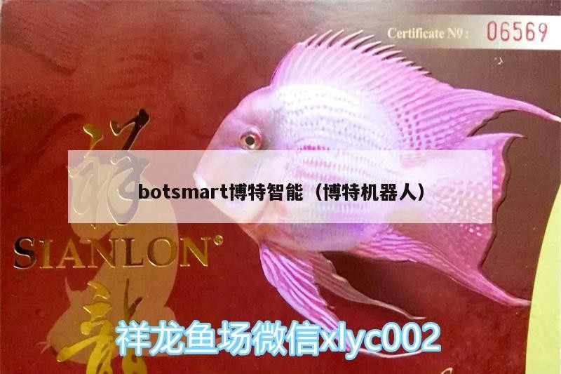 botsmart博特智能（博特機器人）