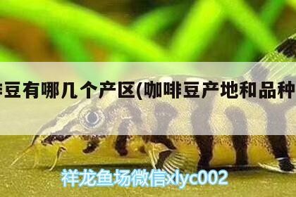 咖啡豆有哪幾個產區(咖啡豆產地和品種介紹)