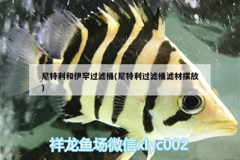 尼特利和伊罕過濾桶(尼特利過濾桶濾材擺放)