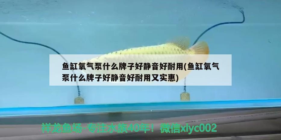 伊罕精巧桶60和伊罕150對(duì)比（伊罕精巧桶60能用在多大缸上）