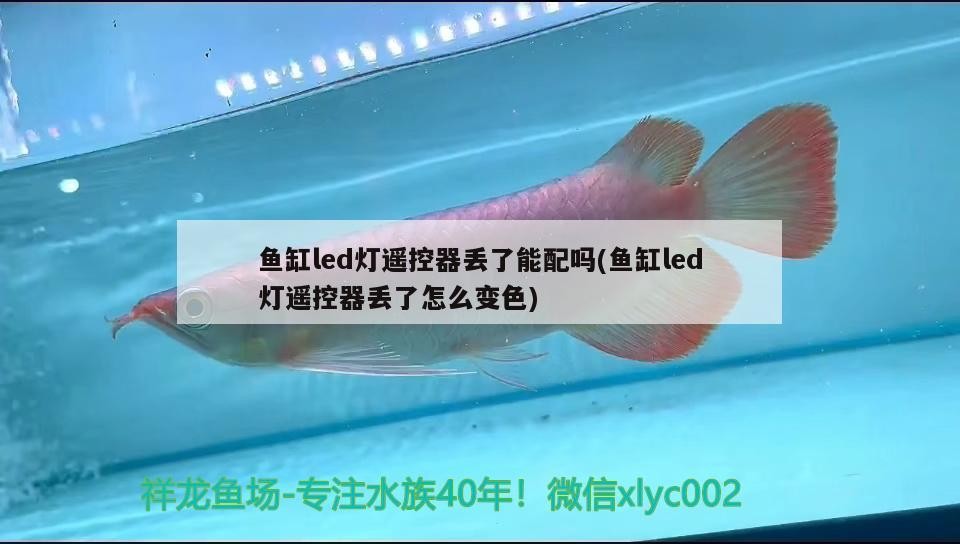 伊罕精巧桶60和伊罕150對(duì)比（伊罕精巧桶60能用在多大缸上）