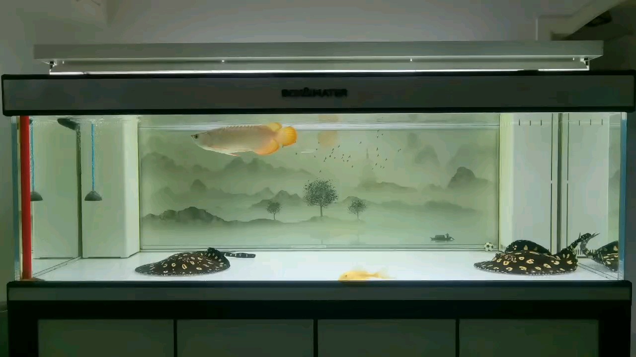 慢慢來是一種誠意…