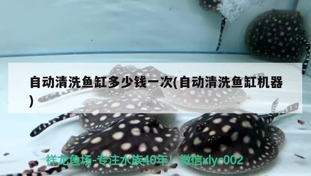 自動(dòng)清洗魚缸多少錢一次(自動(dòng)清洗魚缸機(jī)器)