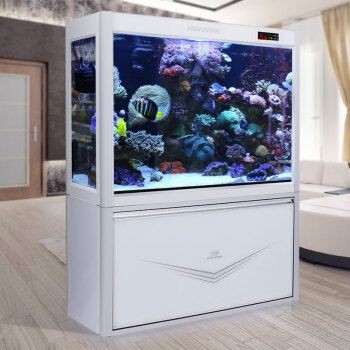 5米的魚缸：5米長(zhǎng)的魚缸養(yǎng)什么魚