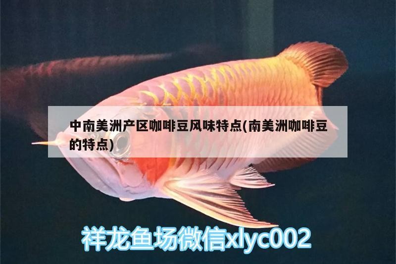 中南美洲產區咖啡豆風味特點(南美洲咖啡豆的特點) 中南美洲產區咖啡豆風味特點(南美洲咖啡豆的特點) 馬來西亞咖啡