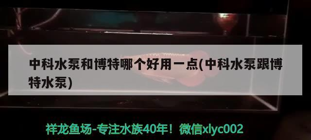 中科水泵和博特哪個(gè)好用一點(diǎn)(中科水泵跟博特水泵)