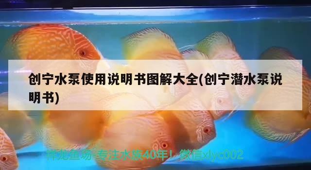 創寧水泵使用說明書圖解大全(創寧潛水泵說明書)