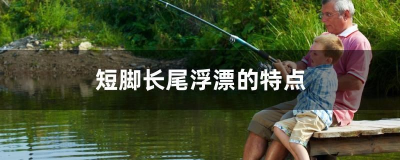 短腳長尾浮漂的特點
