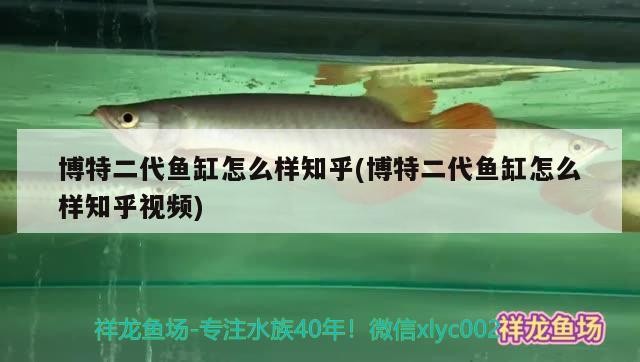龍魚 博特二代魚缸怎么樣知乎(博特二代魚缸怎么樣知乎視頻) 博特水族 博特二代魚缸怎么樣知乎(博特二代魚缸怎么樣知乎視頻) 博特二代魚缸怎么樣知乎(博特二代魚缸怎么樣知乎視頻) 博特水族