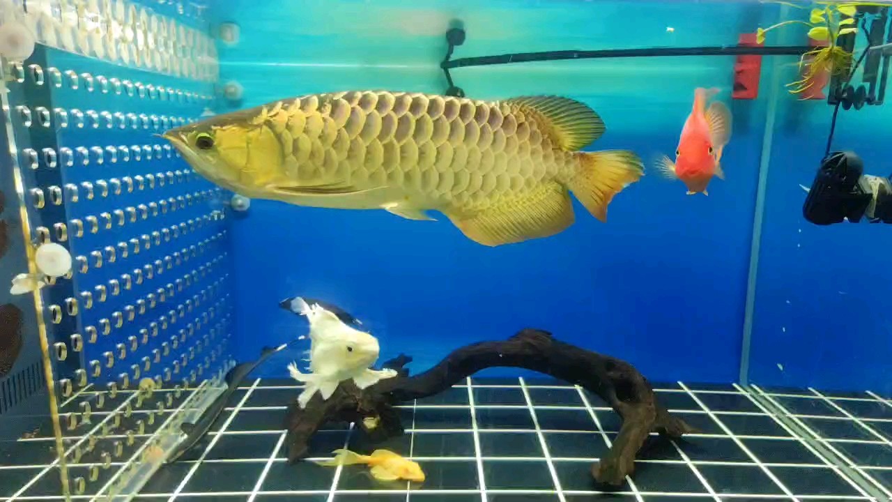 天氣忽冷忽熱的，食欲有所下降