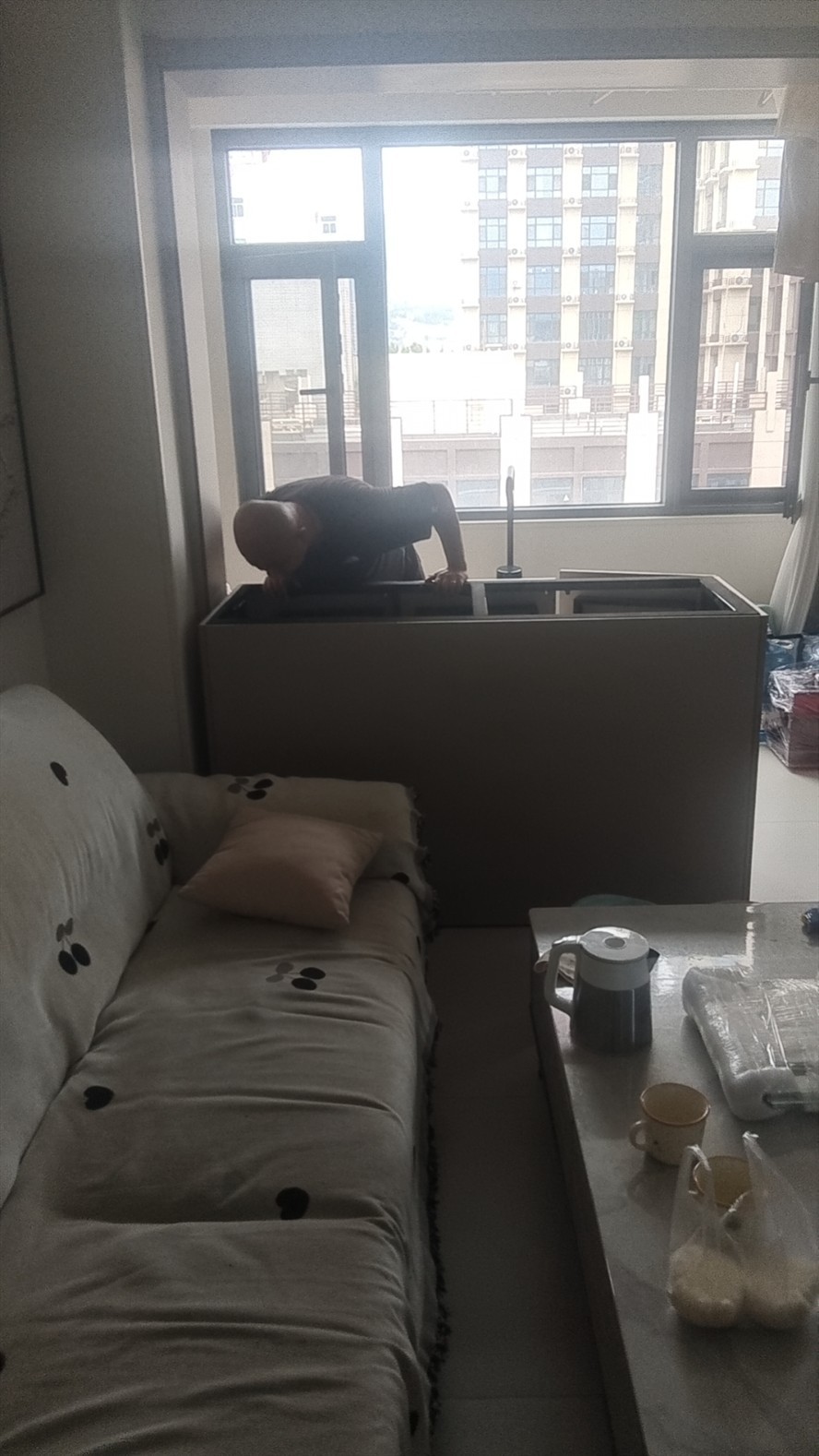 慧豪高端魚缸定制