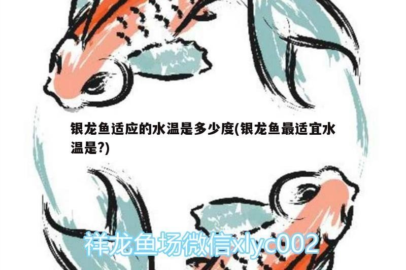 銀龍魚(yú)適應(yīng)的水溫是多少度(銀龍魚(yú)最適宜水溫是?)