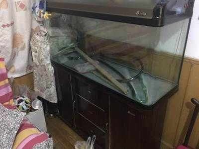 1米2的魚缸多少錢一個(gè)呢：1米2的魚缸價(jià)格可以從幾百元人民幣到幾千元人民幣不等