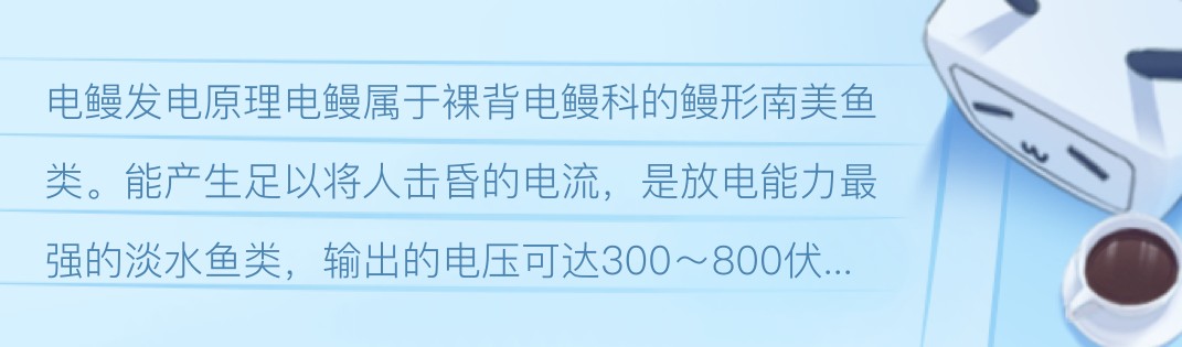 錦鯉養(yǎng)5條好還是7條好？風(fēng)水與科學(xué)的雙重解析