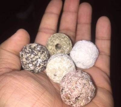 博特好還是老魚匠好用：博特和老魚匠哪個好