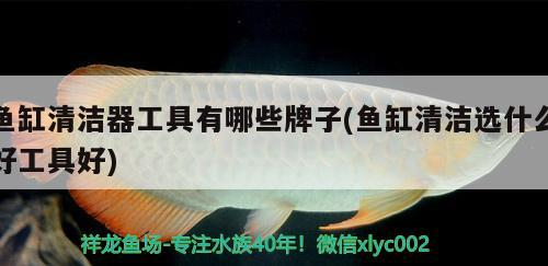 魚缸清潔器工具有哪些牌子(魚缸清潔選什么好工具好)
