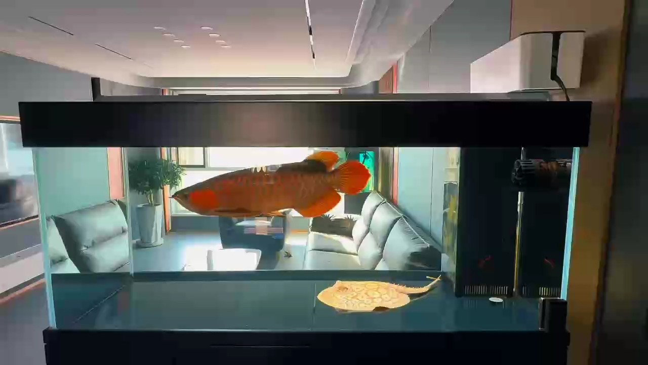 換完水