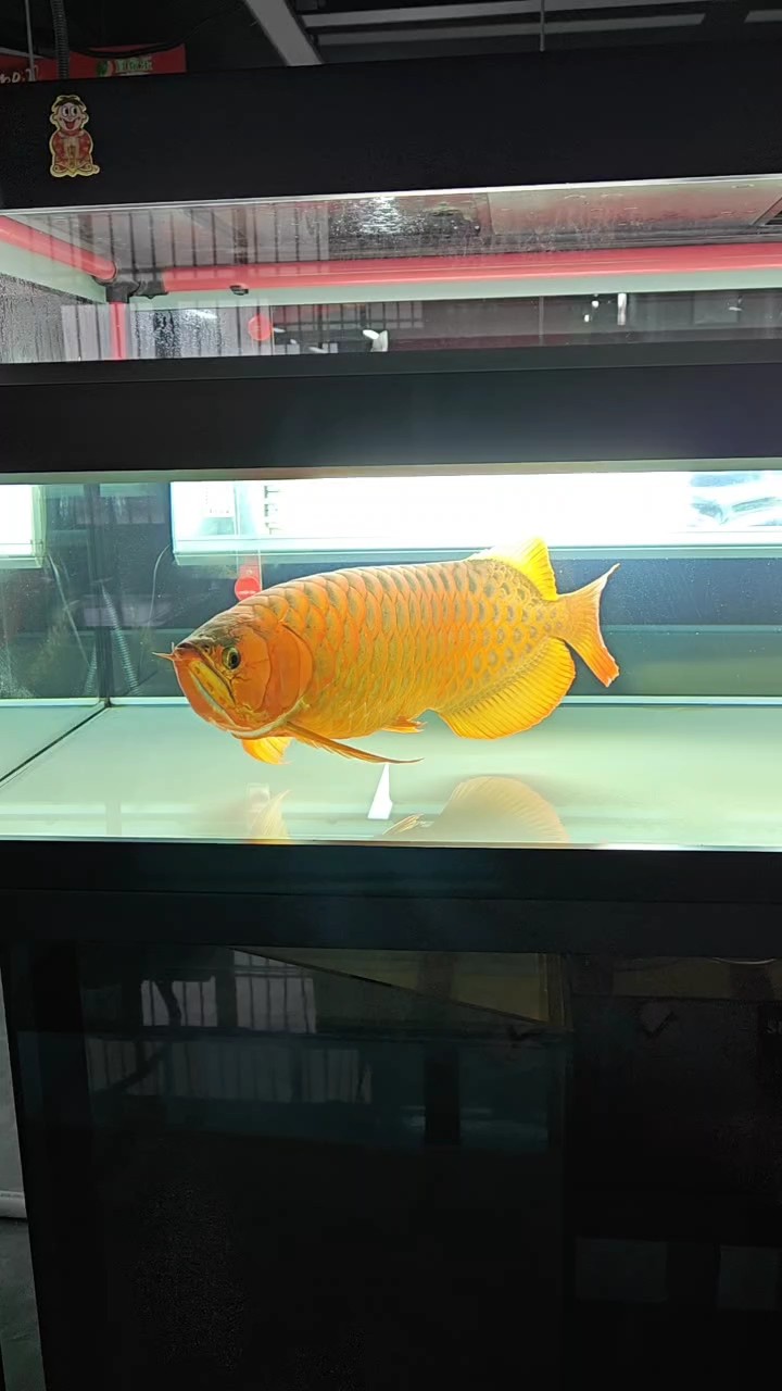 到家的第1356天