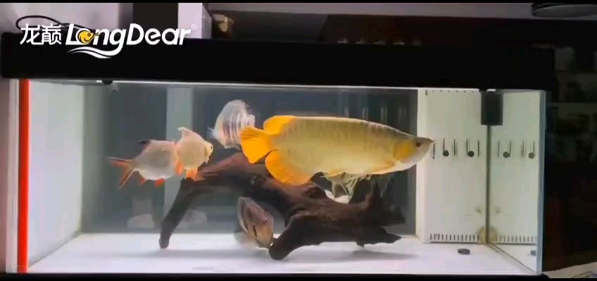 轉發565