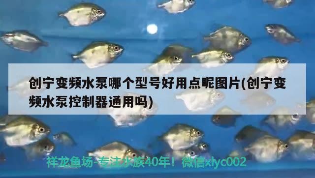 創(chuàng)寧變頻水泵哪個型號好用點(diǎn)呢圖片(創(chuàng)寧變頻水泵控制器通用嗎)