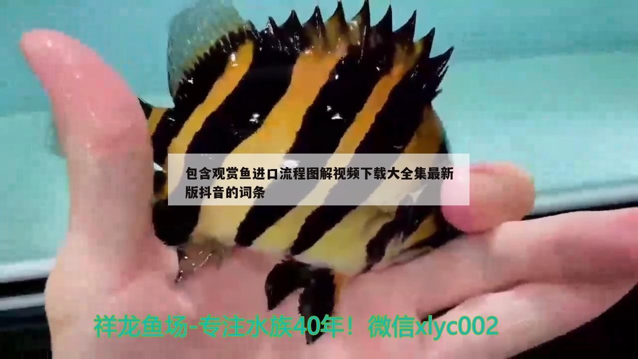 天津市河西區風魂路亞漁具店