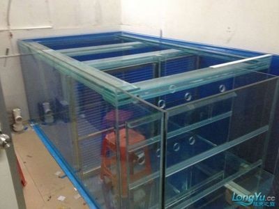 魟魚地缸：關于魟魚地缸的飼養方法 魟魚地缸：關于魟魚地缸的飼養方法 魟魚百科 第3張