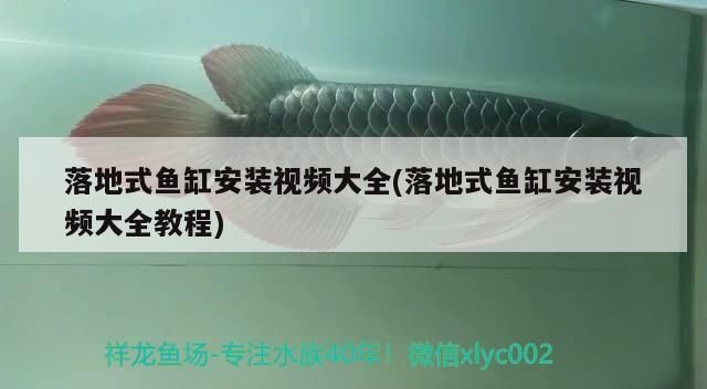 落地式魚缸配件怎樣組裝視頻，落地式魚缸安裝視頻