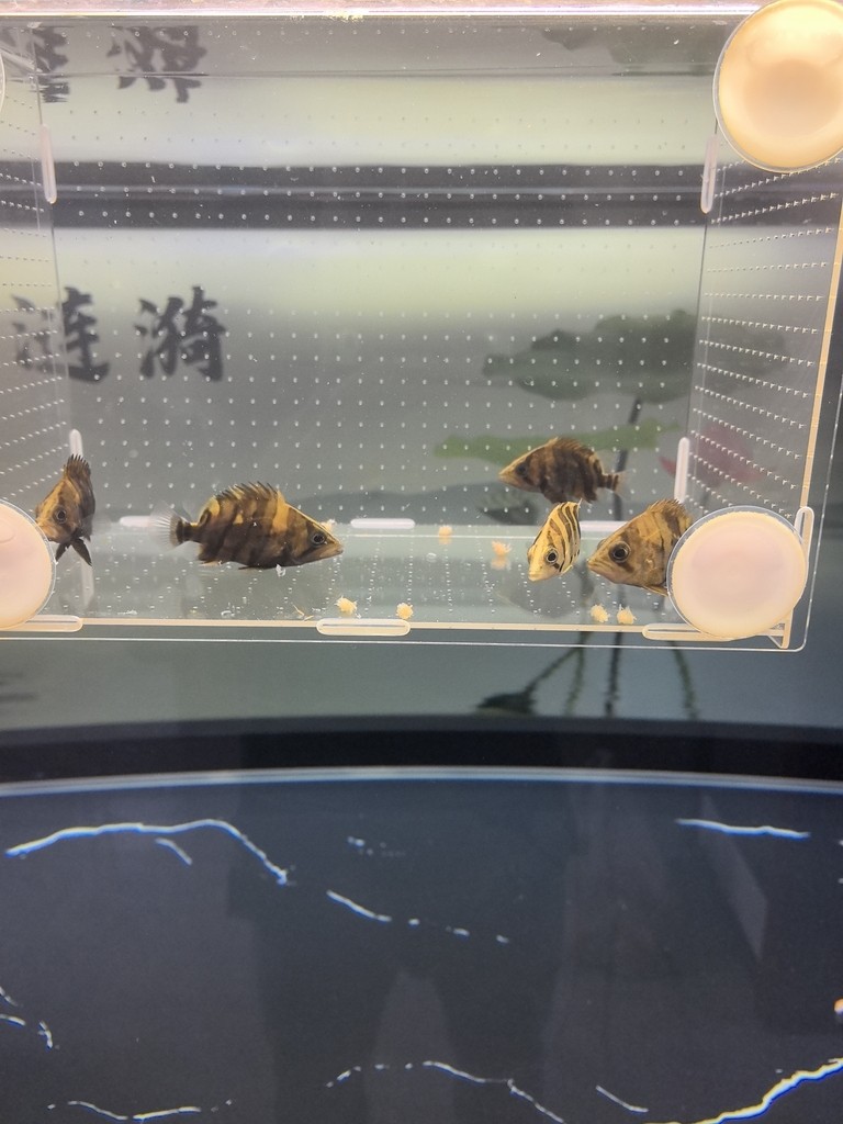 安全到家！