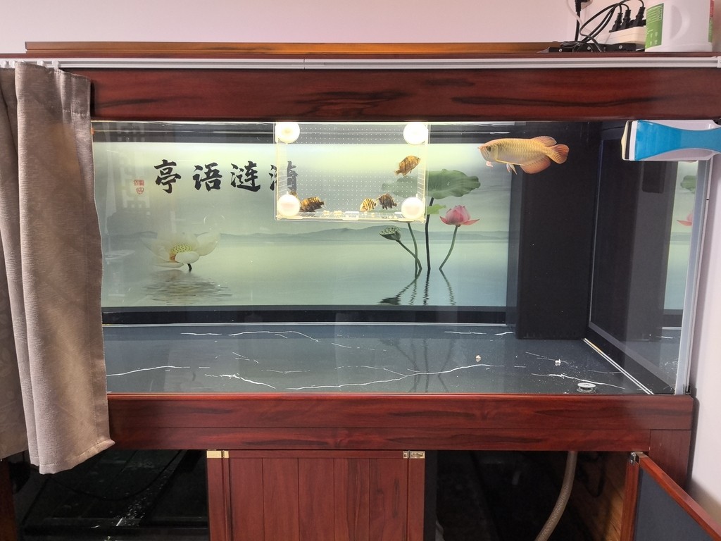 安全到家！