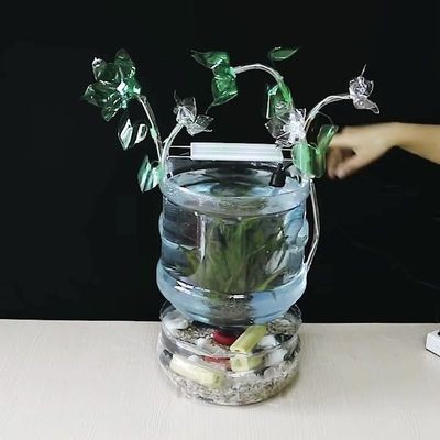 5l礦泉水瓶做魚缸可以嗎：如何用礦泉水瓶做魚缸