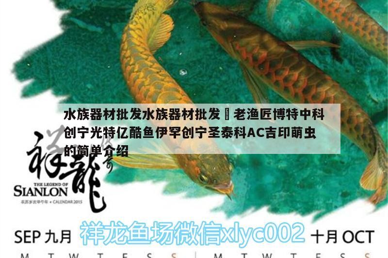 水族器材批發(fā)水族器材批發(fā)?老漁匠博特中科創(chuàng)寧光特億酷魚伊罕創(chuàng)寧圣泰科AC吉印萌蟲的簡單介紹 水族器材批發(fā)水族器材批發(fā)?老漁匠博特中科創(chuàng)寧光特億酷魚伊罕創(chuàng)寧圣泰科AC吉印萌蟲的簡單介紹 伊罕水族