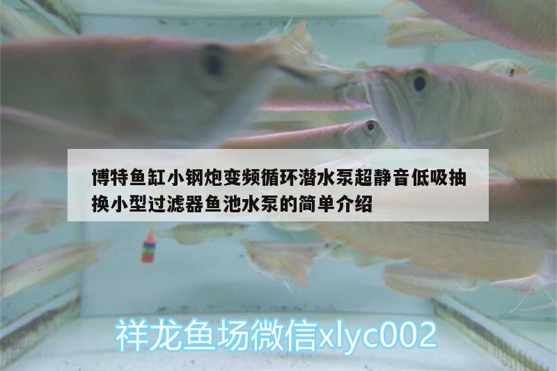 博特魚(yú)缸小鋼炮變頻循環(huán)潛水泵超靜音低吸抽換小型過(guò)濾器魚(yú)池水泵的簡(jiǎn)單介紹