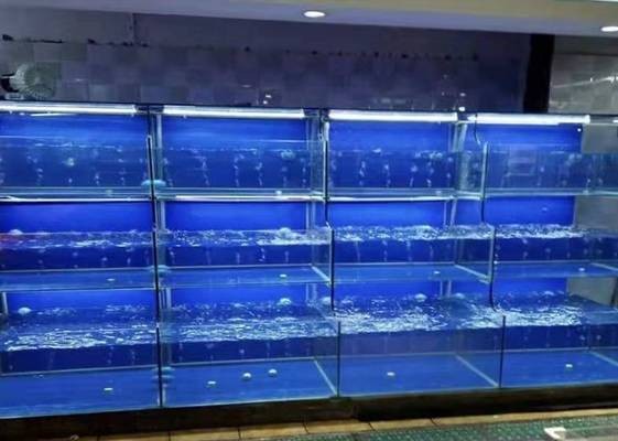 上過濾魚缸水渾濁怎么辦啊（上過濾魚缸水渾濁怎么辦啊視頻） 上過濾魚缸水渾濁怎么辦啊（上過濾魚缸水渾濁怎么辦啊視頻） 魚缸百科