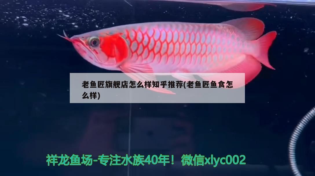 魚缸 老魚匠旗艦店怎么樣知乎推薦(老魚匠魚食怎么樣) 老魚匠 老魚匠旗艦店怎么樣知乎推薦(老魚匠魚食怎么樣) 老魚匠旗艦店怎么樣知乎推薦(老魚匠魚食怎么樣) 老魚匠