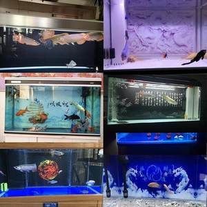 7s魚缸和,森森哪個好：7s魚缸和森森魚缸哪個更好，7s魚缸哪個更好 7s魚缸和,森森哪個好：7s魚缸和森森魚缸哪個更好，7s魚缸哪個更好 魚缸百科 第1張