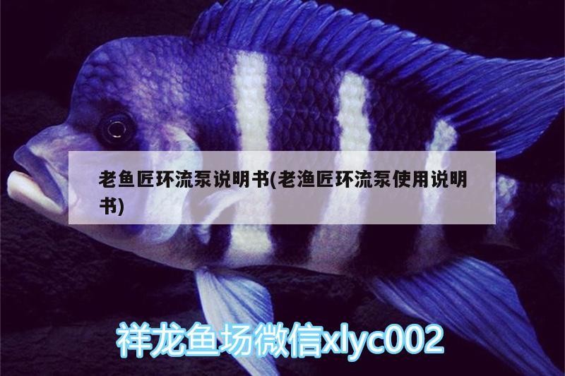 老魚匠環流泵說明書(老漁匠環流泵使用說明書)