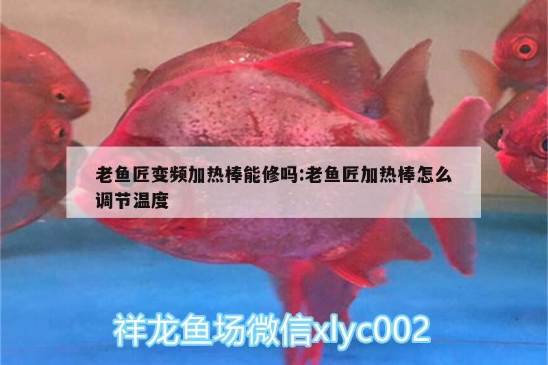 老魚匠變頻加熱棒能修嗎:老魚匠加熱棒怎么調節溫度