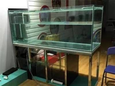 2.8米魚缸用多厚玻璃膠合適：魚缸玻璃厚度選擇指南 2.8米魚缸用多厚玻璃膠合適：魚缸玻璃厚度選擇指南 魚缸百科 第3張