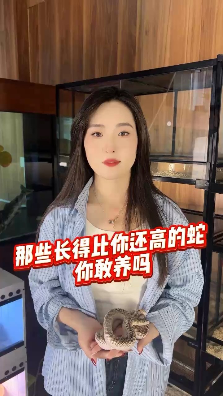 比你長得高的寵物蛇見過嗎