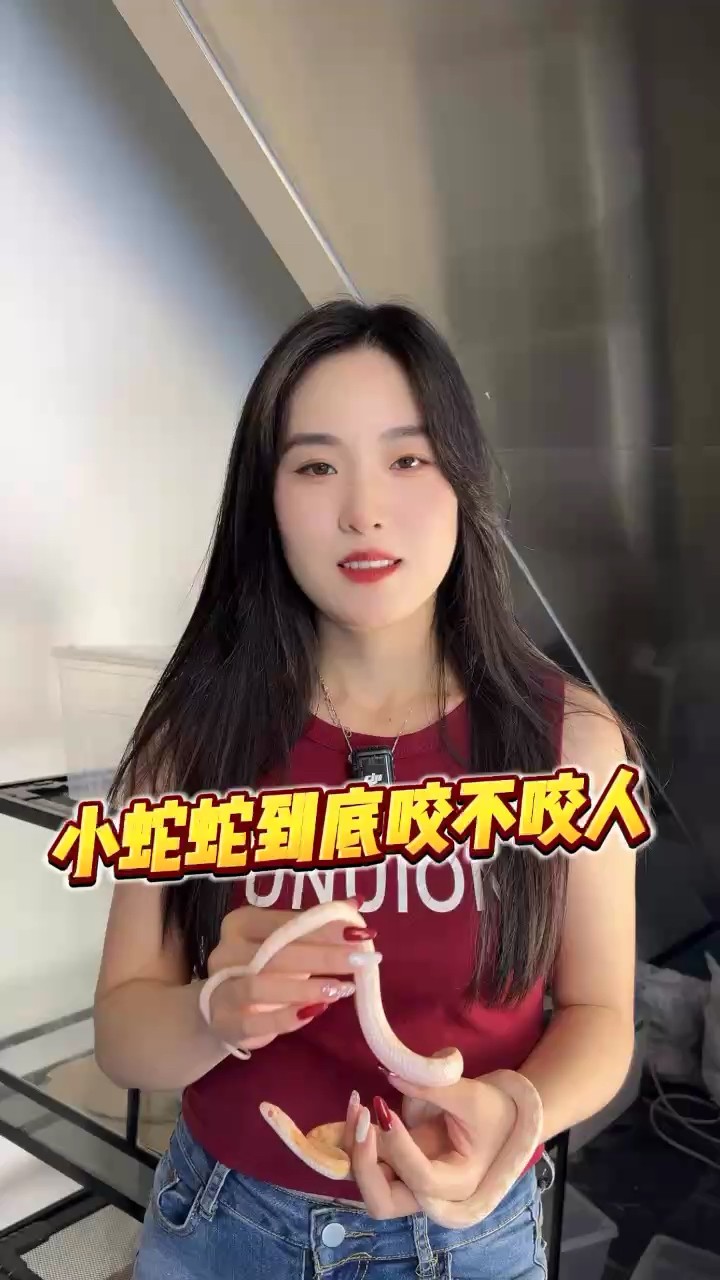 寵物蛇咬人不 寵物蛇咬人不 龍魚論壇