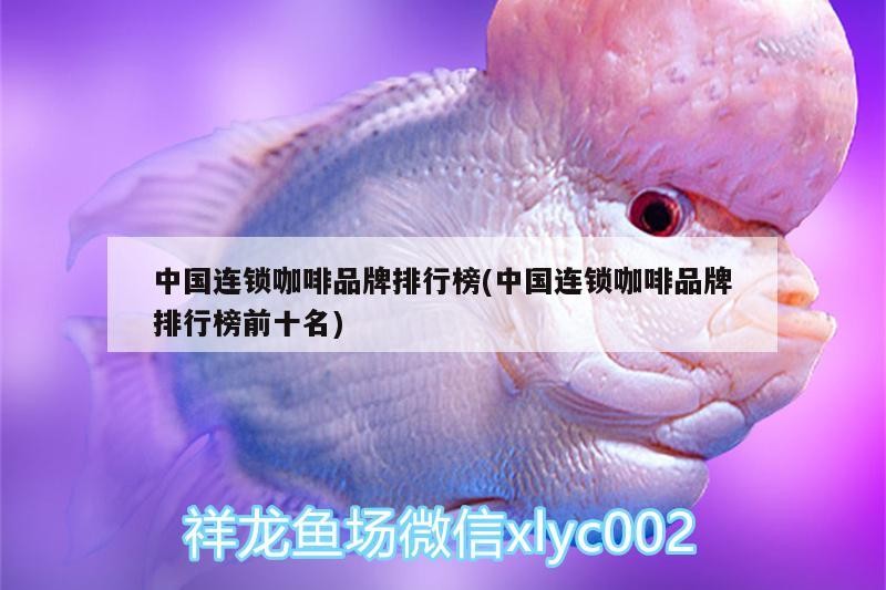 中國連鎖咖啡品牌排行榜(中國連鎖咖啡品牌排行榜前十名)