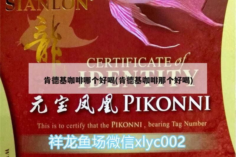 肯德基咖啡哪個好喝(肯德基咖啡那個好喝)