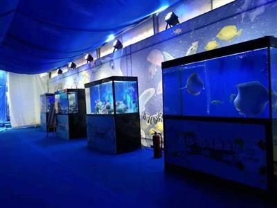 2020水族魚缸博覽會圖片：2020上海國際水族展亮點(diǎn)打造最具性價比展會