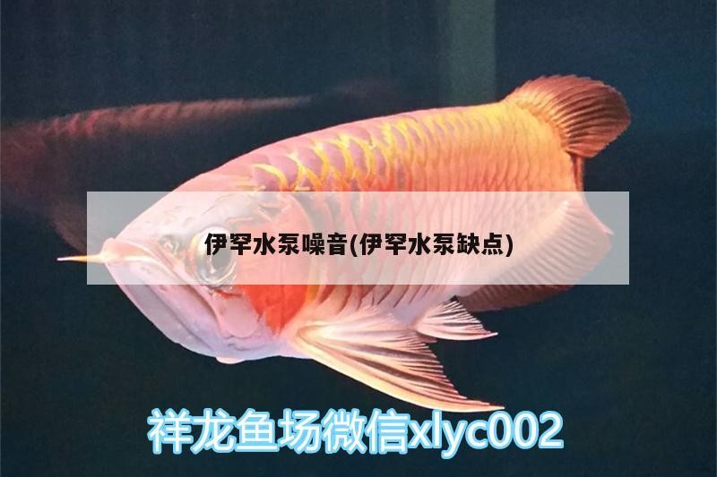 伊罕水泵噪音(伊罕水泵缺點)