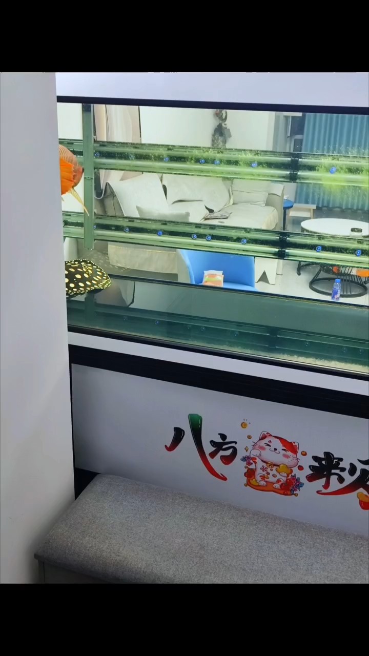 快點長個