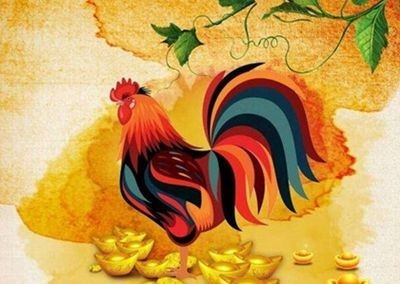 81年屬雞魚缸位置吉利：1981年屬雞的人家中魚缸擺放位置