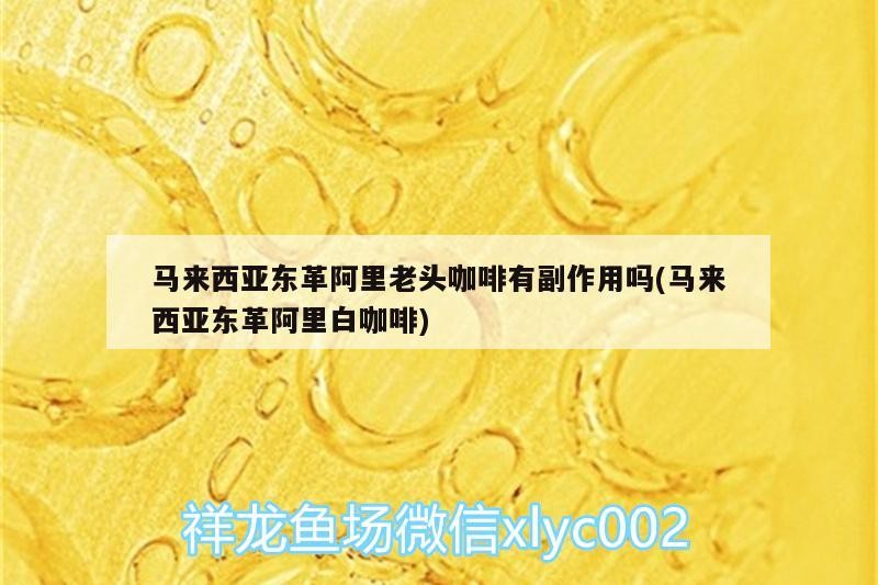 馬來西亞東革阿里老頭咖啡有副作用嗎(馬來西亞東革阿里白咖啡) 馬來西亞東革阿里老頭咖啡有副作用嗎(馬來西亞東革阿里白咖啡) 馬來西亞咖啡